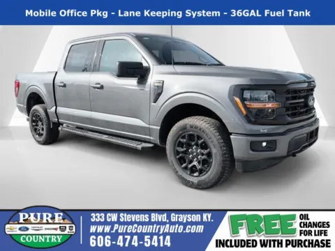 Gray 2025 Ford F-150 XLT for sale in Grayson, KY