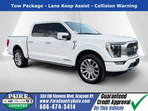 Blue 2023 Ford F-150 Limited for sale in Grayson, KY