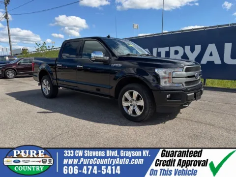 Blue 2019 Ford F-150 Platinum for sale in Grayson, KY