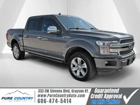 Gray 2020 Ford F-150 Platinum for sale in Grayson, KY