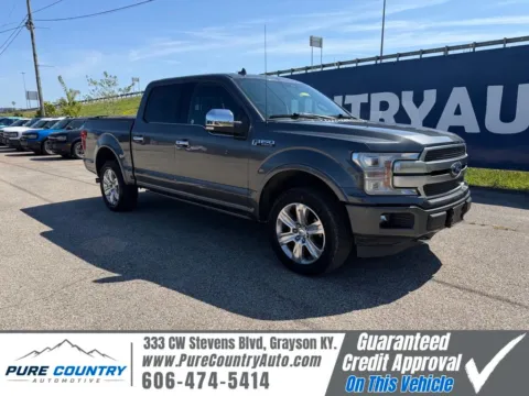 Gray 2020 Ford F-150 Platinum for sale in Grayson, KY