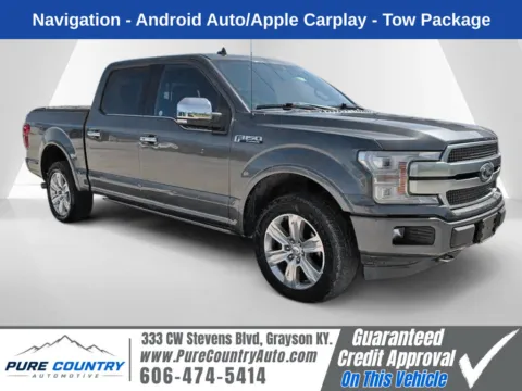 Gray 2020 Ford F-150 Platinum for sale in Grayson, KY