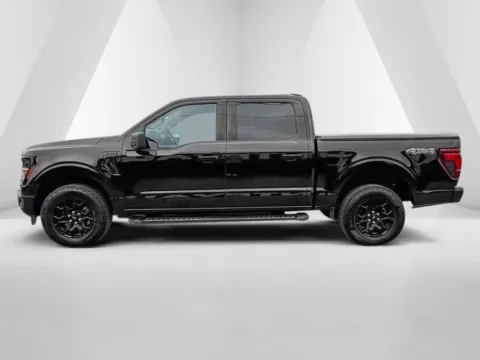 More photos of 2025 Ford F-150 XLT at Pure Country Automotive, KY