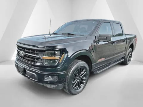 More photos of 2024 Ford F-150 XLT at Pure Country Automotive, KY