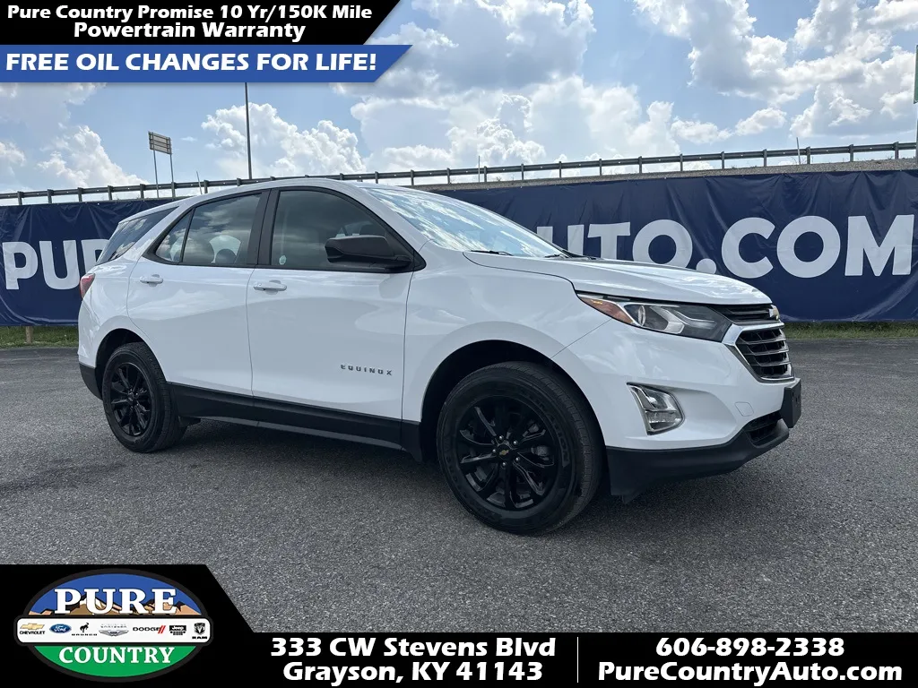 2020 Chevrolet Equinox LS for sale in Grayson, KY