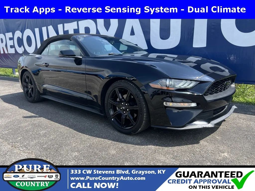 2018 Ford Mustang EcoBoost Premium for sale in Grayson, KY