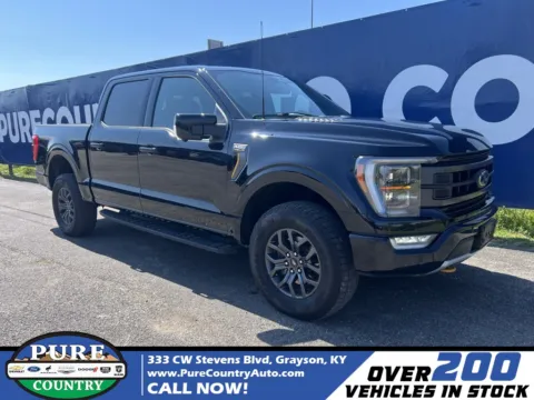 Black 2023 Ford F-150 Tremor for sale in Grayson, KY
