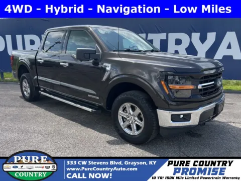 Brown 2024 Ford F-150 XLT for sale in Grayson, KY