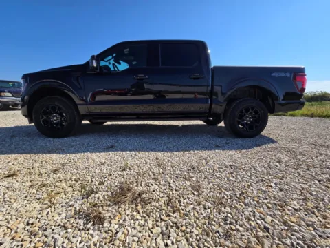More photos of 2025 Ford F-150 XLT at Pure Country Automotive, KY