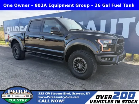Black 2019 Ford F-150 Raptor for sale in Grayson, KY
