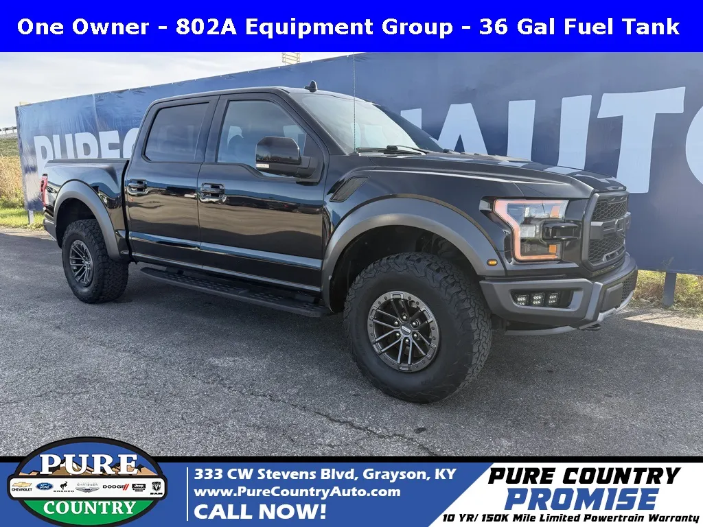 Black 2019 Ford F-150 Raptor for sale in Grayson, KY