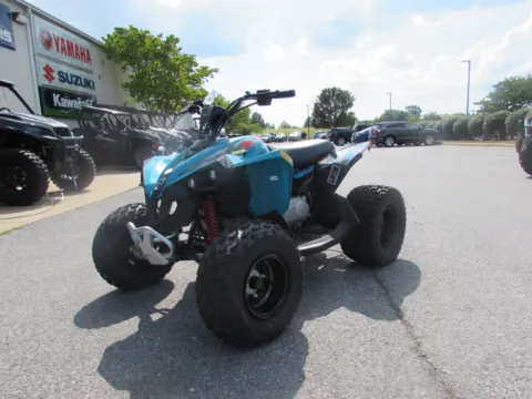 More photos of 2025 Can-Am Renegade 110 EFI at Valley Cycle Center, VA