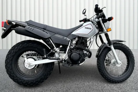 Gray 2026 Yamaha TW200 for sale in Winchester, VA