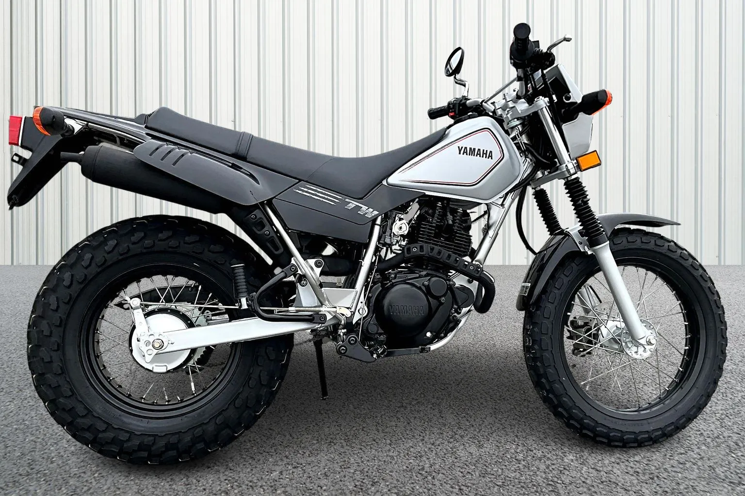 Gray 2026 Yamaha TW200 for sale in Winchester, VA