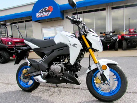 White 2026 Kawasaki Z125 PRO Base for sale in Winchester, VA
