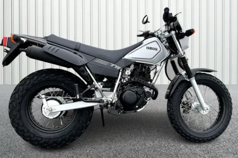 Gray 2026 Yamaha TW200 for sale in Winchester, VA