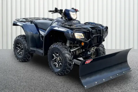 Blue 2024 Honda FourTrax Foreman Rubicon 4x4 Automatic DCT for sale in Winchester, VA