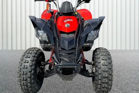 Another view of 2026 SANYANG INDUSTRY CO. LTD. DS 250 for sale in Winchester, VA at Valley Cycle Center