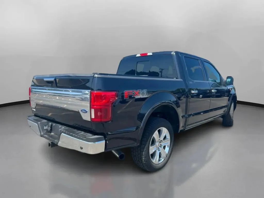 2020 Ford F-150 Platinum - Photo 9