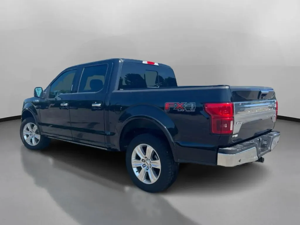 2020 Ford F-150 Platinum - Photo 13