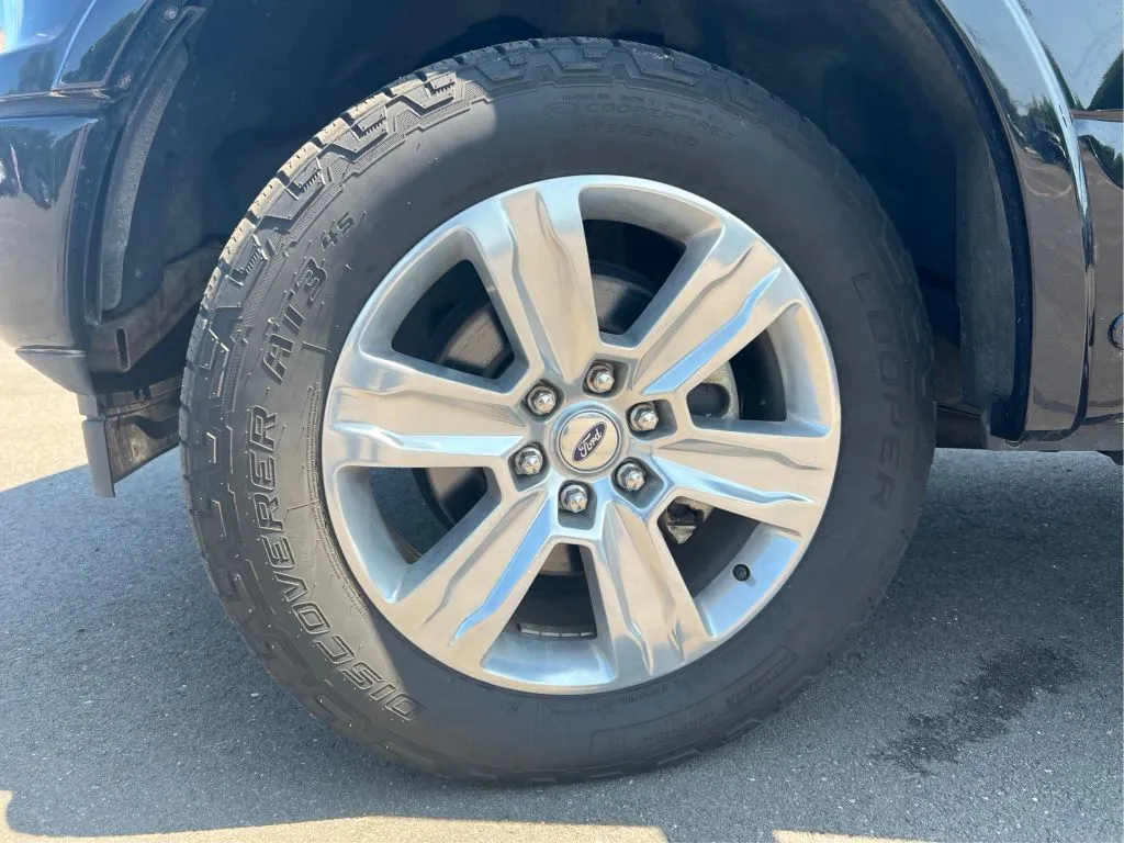 2020 Ford F-150 Platinum - Photo 31