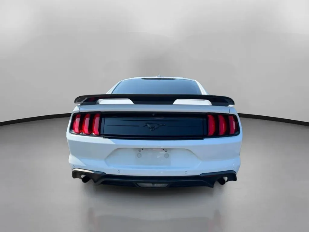 Ford Mustang photo 11