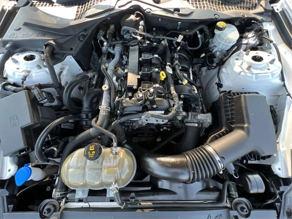 Ford Mustang photo 29