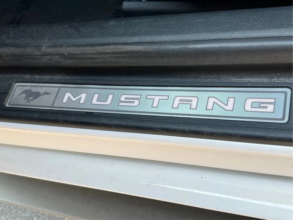 Ford Mustang photo 30