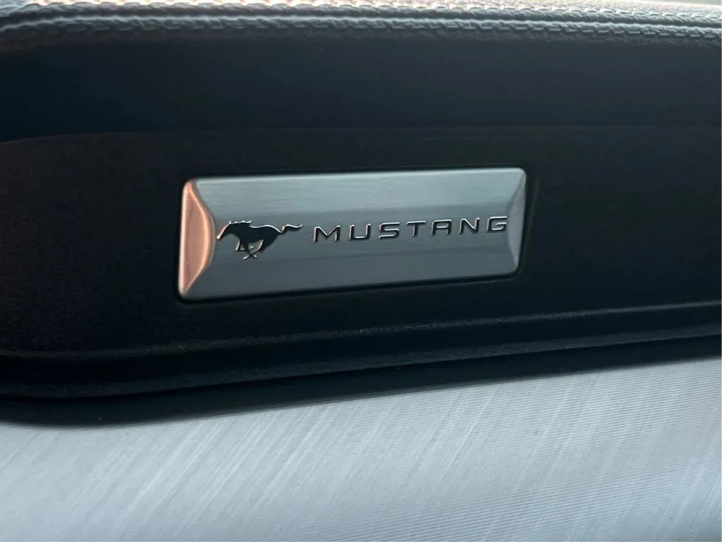 Ford Mustang photo 40