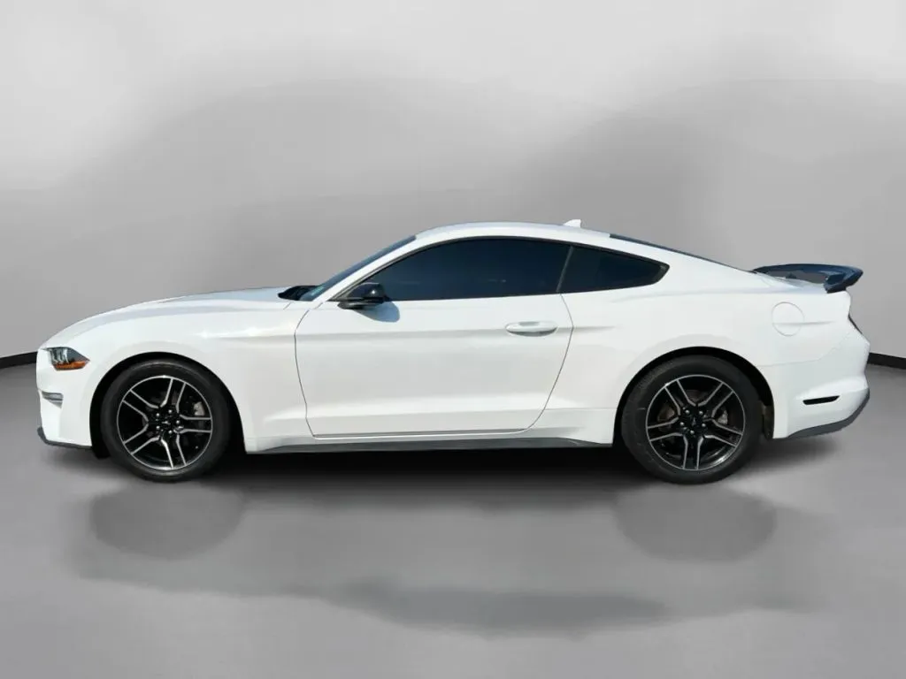 Ford Mustang photo 15