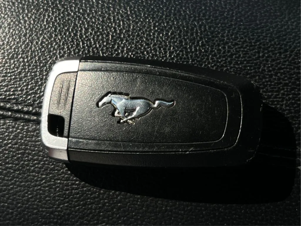 Ford Mustang photo 41