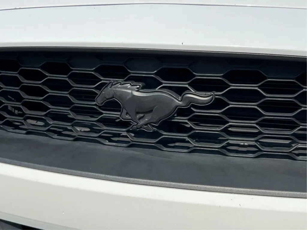 Ford Mustang photo 35