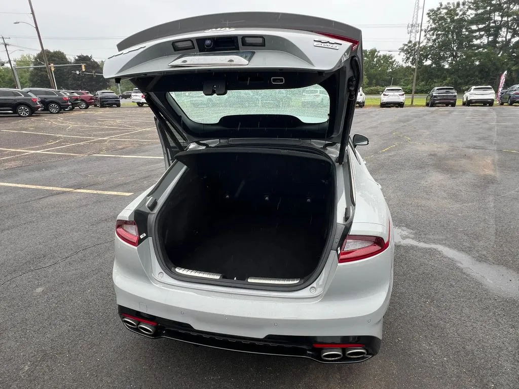 Kia Stinger photo 19
