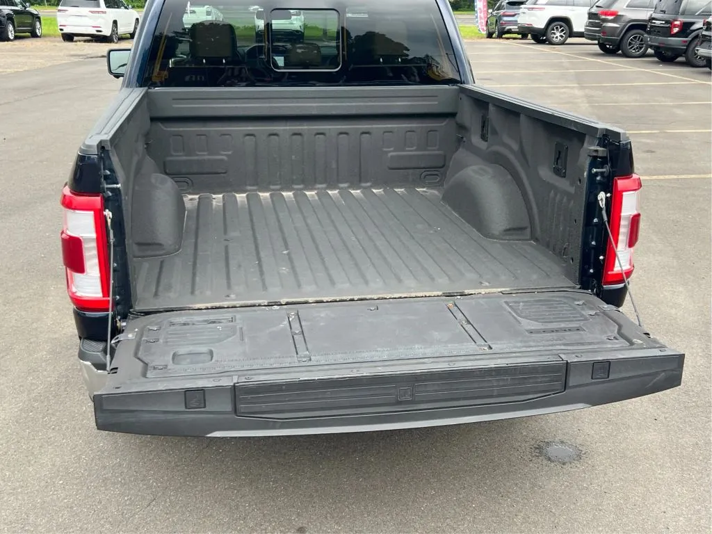 Ford F-150 photo 33