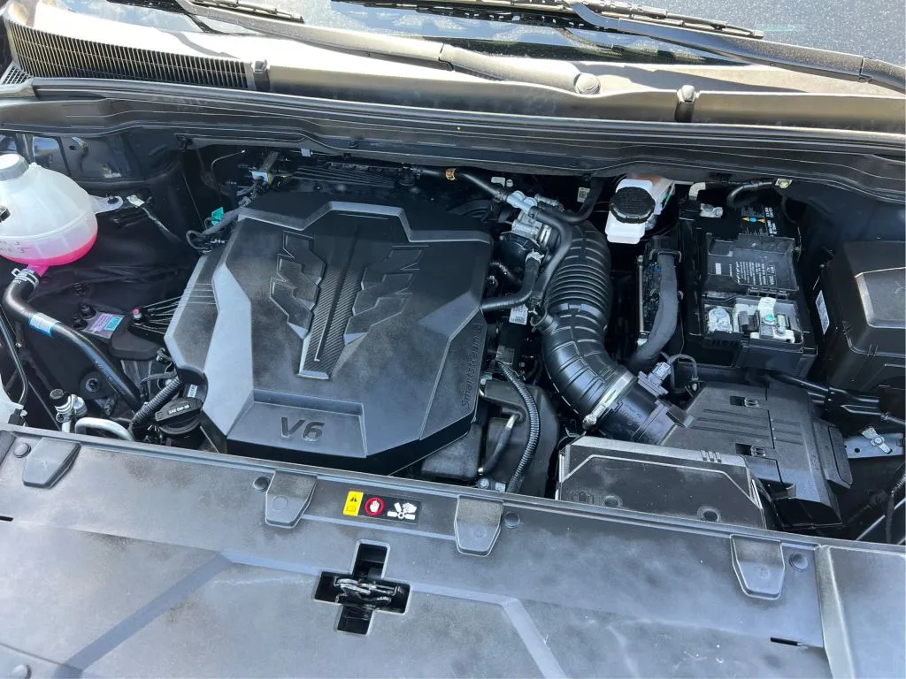 Kia Carnival photo 28