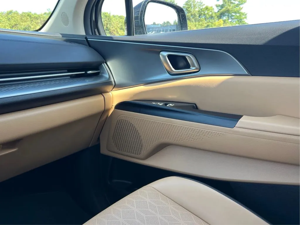 Kia Carnival photo 41