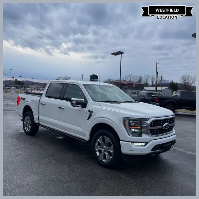 White 2021 Ford F-150 Platinum for sale in Westfield, IN