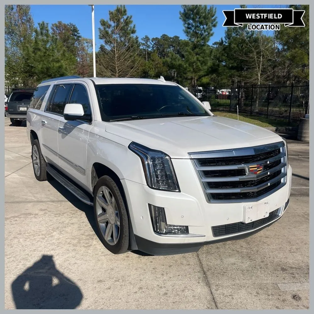 White 2019 Cadillac Escalade ESV Luxury for sale in Westfield, IN