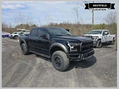 Black 2018 Ford F-150 Raptor for sale in Westfield, IN