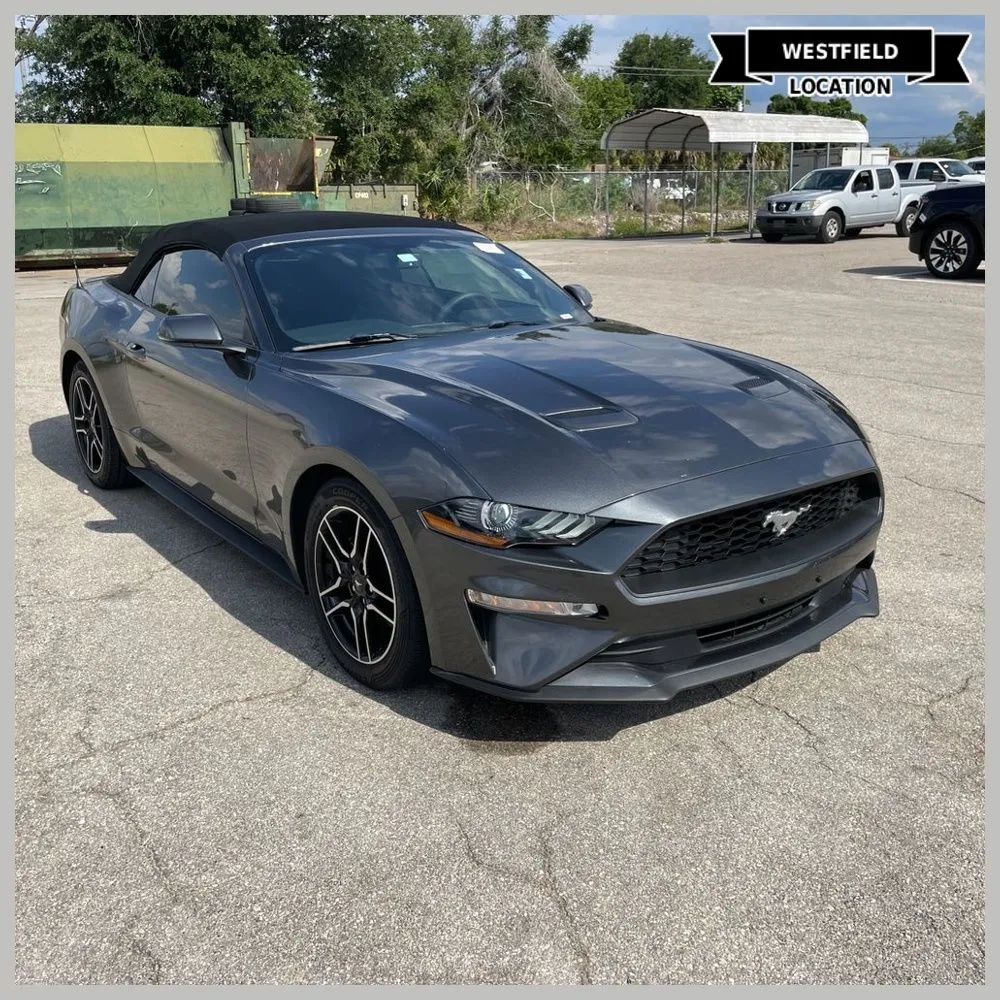 Gray 2019 Ford Mustang EcoBoost Premium for sale in Westfield, IN