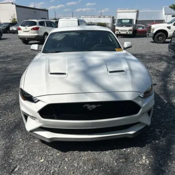 Photos of 2019 Ford Mustang GT Premium for sale in Westfield, IN at Indy Auto Man - Westfield