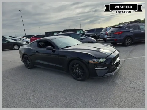 Black 2019 Ford Mustang GT Premium for sale in Westfield, IN
