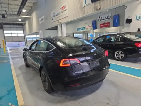 More photos of 2019 Tesla Model 3 Standard Range Plus at Indy Auto Man - Westfield, IN