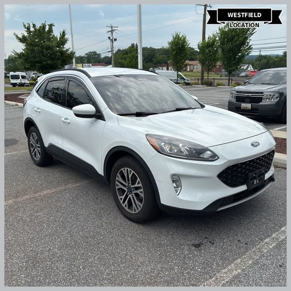 White 2021 Ford Escape Hybrid SEL for sale in Westfield, IN