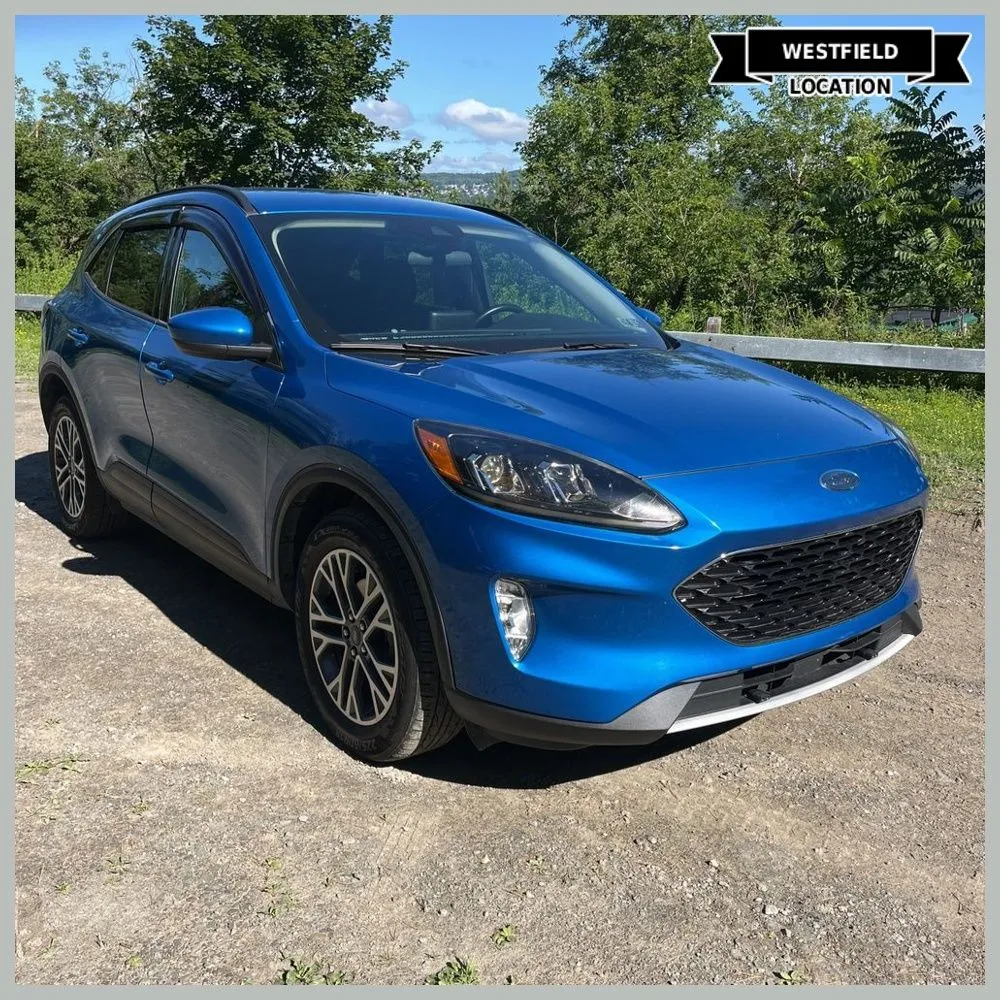 Blue 2020 Ford Escape SEL for sale in Westfield, IN