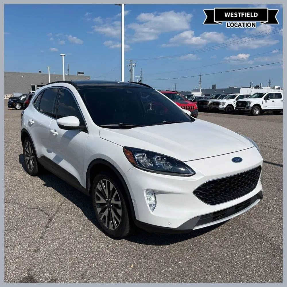 White 2020 Ford Escape Titanium for sale in Westfield, IN