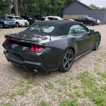 Another view of 2024 Ford Mustang EcoBoost Premium for sale in Westfield, IN at Indy Auto Man - Westfield