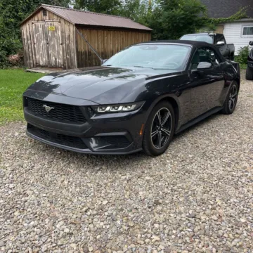 Photos of 2024 Ford Mustang EcoBoost Premium for sale in Westfield, IN at Indy Auto Man - Westfield