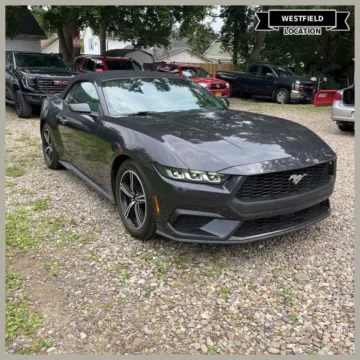 Gray 2024 Ford Mustang EcoBoost Premium for sale in Westfield, IN