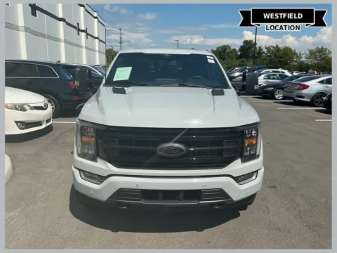 Gray 2023 Ford F-150 XLT for sale in Westfield, IN